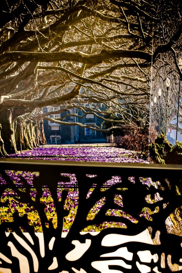 widok z gabinetu okulistycznego dr alicji zdanowskiej w szczecinie